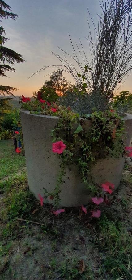 Vila Le Rose Di Mapi Mango Exteriér fotografie