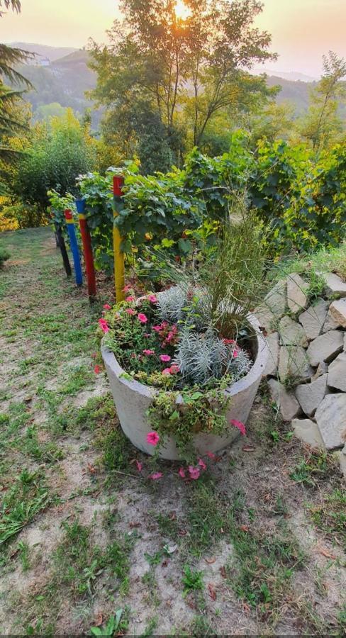 Vila Le Rose Di Mapi Mango Exteriér fotografie