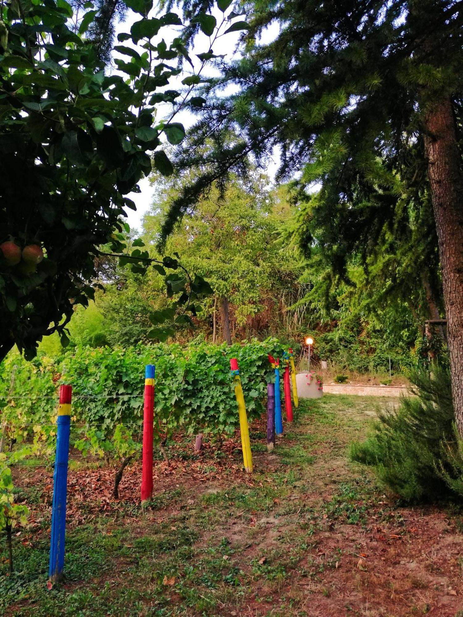 Vila Le Rose Di Mapi Mango Exteriér fotografie