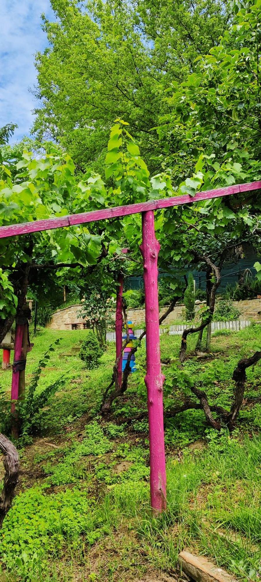 Vila Le Rose Di Mapi Mango Exteriér fotografie