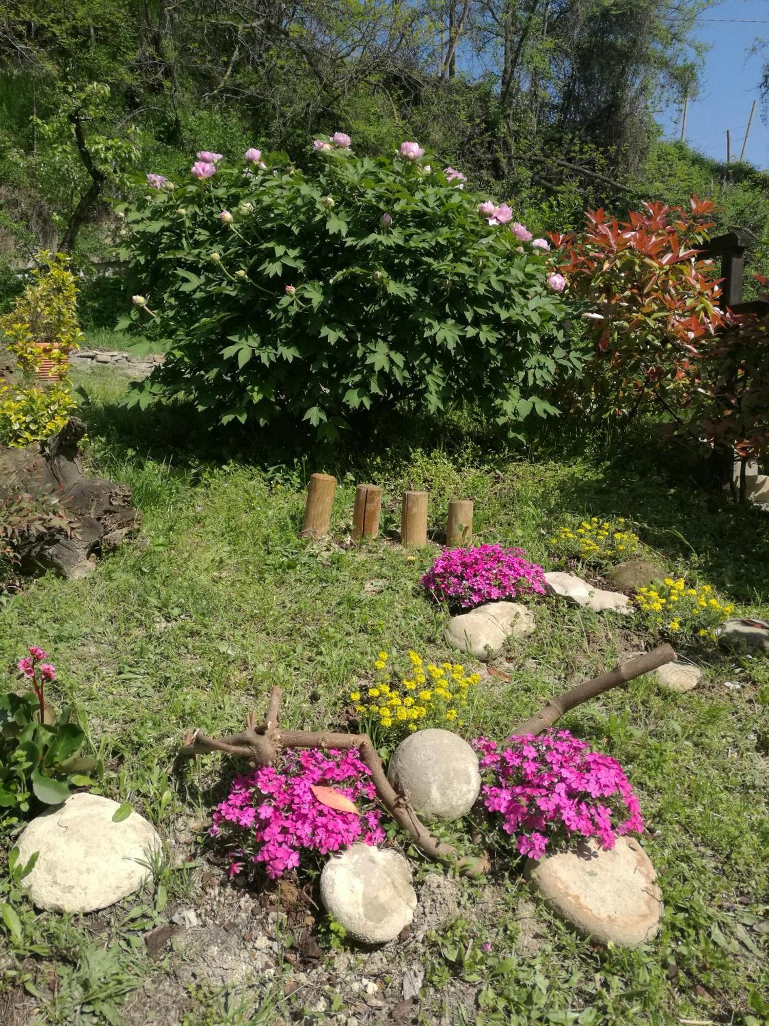 Vila Le Rose Di Mapi Mango Exteriér fotografie