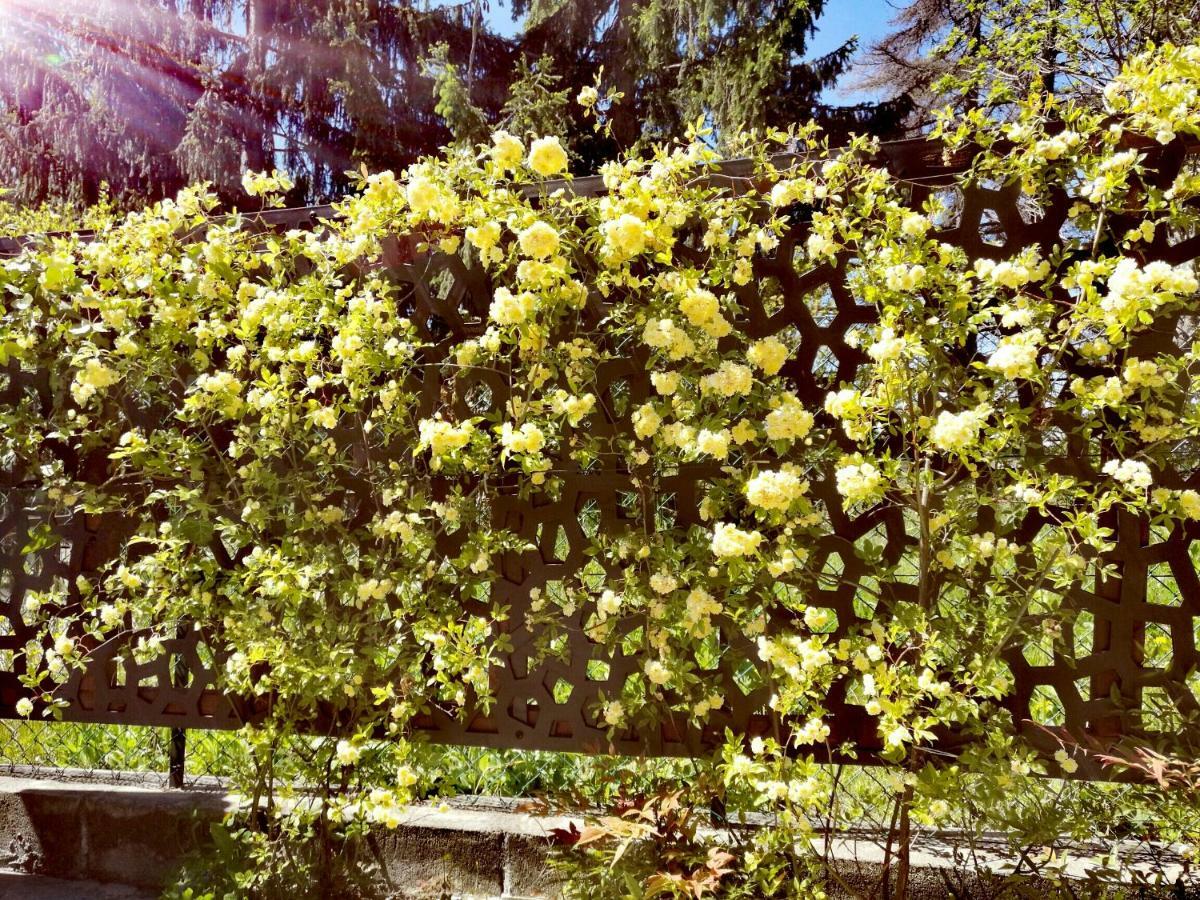 Vila Le Rose Di Mapi Mango Exteriér fotografie